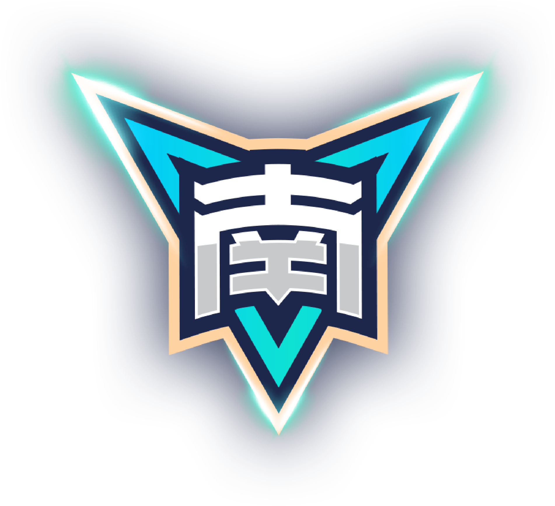 河南队